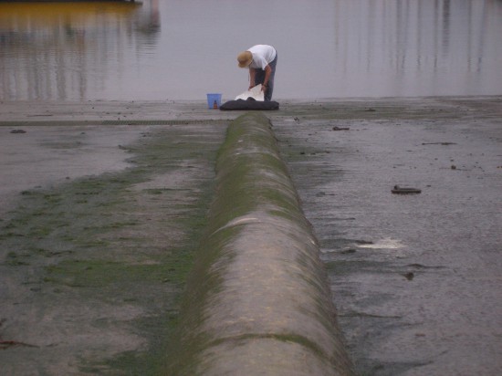 The writing of the ocean – Yann Gautron.